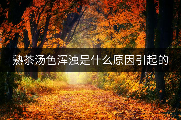 熟茶湯色渾濁是什么原因引起的 熟茶湯色渾濁是什么原因引起的