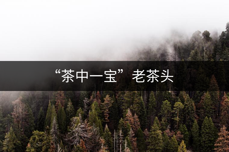“茶中一寶”老茶頭 “茶中一寶”老茶頭