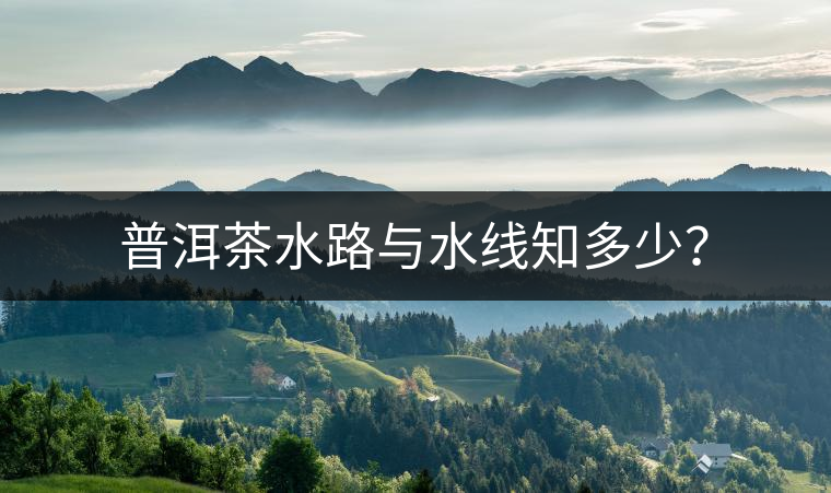 普洱茶水路與水線知多少？