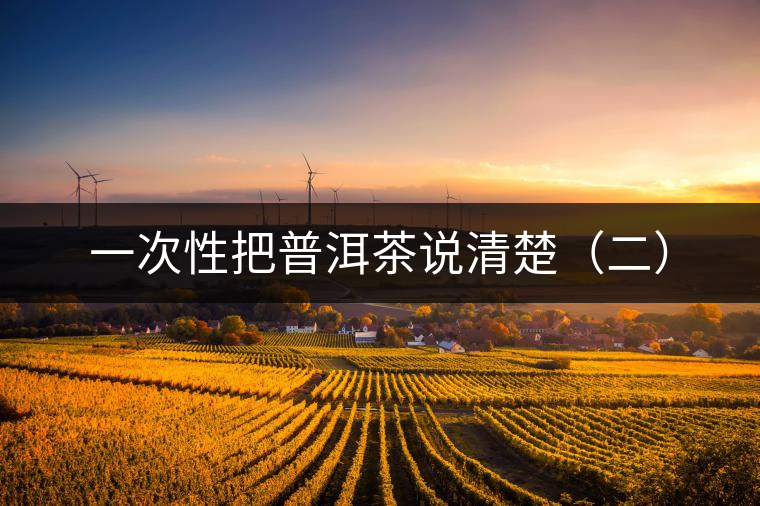 一次性把普洱茶說(shuō)清楚（二）