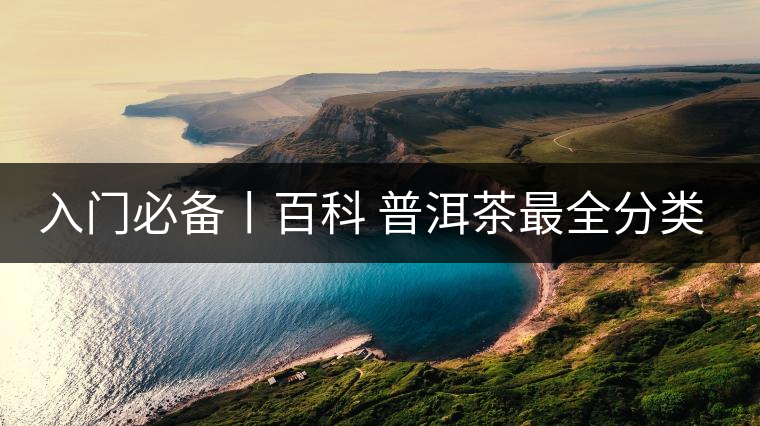 入門必備丨百科 普洱茶最全分類解析 入門必備丨百科 普洱茶最全分類解析