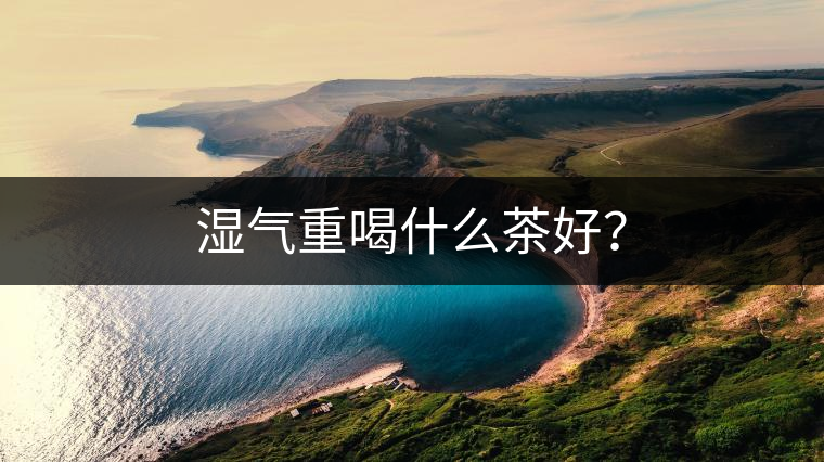 濕氣重喝什么茶好？