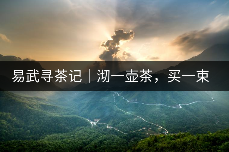 易武尋茶記｜沏一壺茶，買一束花，享半日余暇