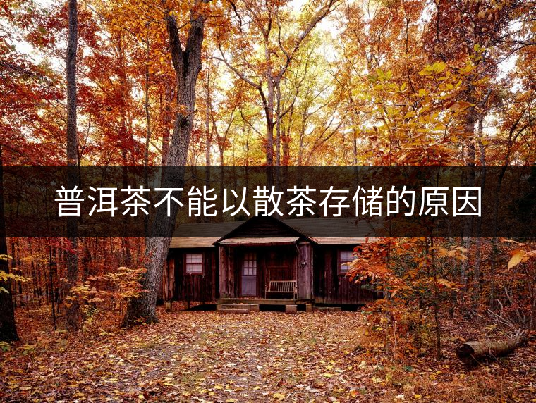 普洱茶不能以散茶存儲的原因