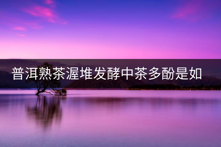 普洱熟茶渥堆發(fā)酵中茶多酚是如何轉(zhuǎn)化的？