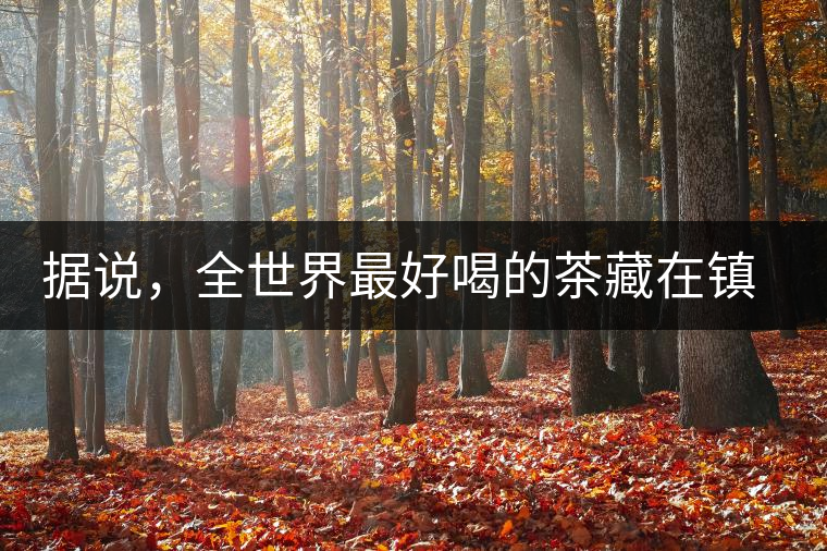 據(jù)說，全世界最好喝的茶藏在鎮(zhèn)沅