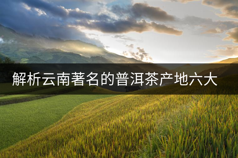 解析云南著名的普洱茶產地六大茶山 解析云南著名的普洱茶產地六大茶山