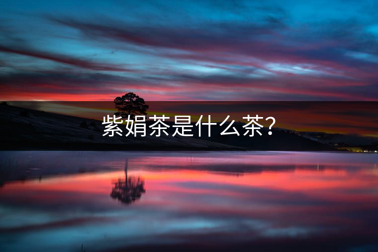紫娟茶是什么茶？