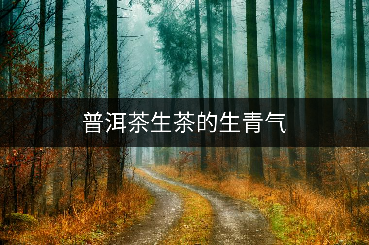 普洱茶生茶的生青氣 普洱茶生茶的生青氣