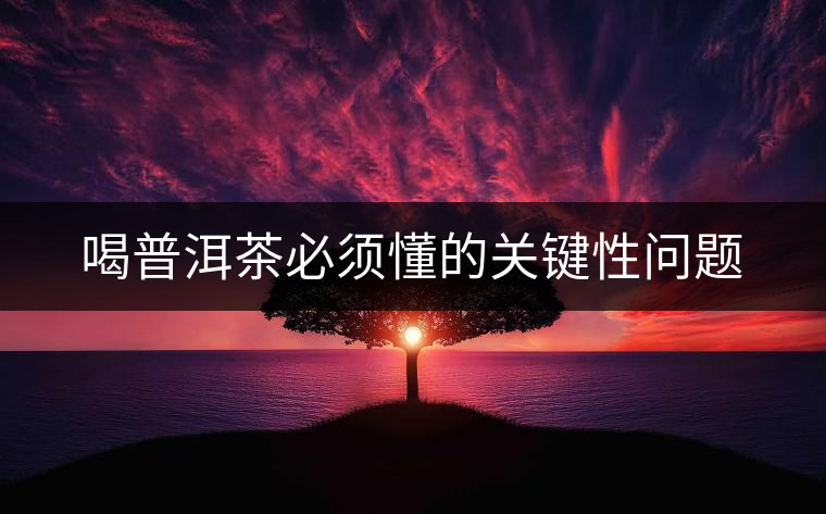 喝普洱茶必須懂的關(guān)鍵性問題