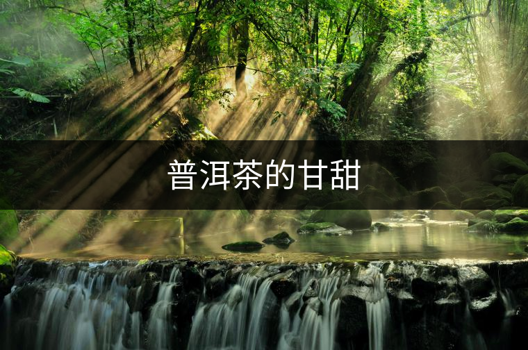 普洱茶的甘甜 普洱茶的甘甜