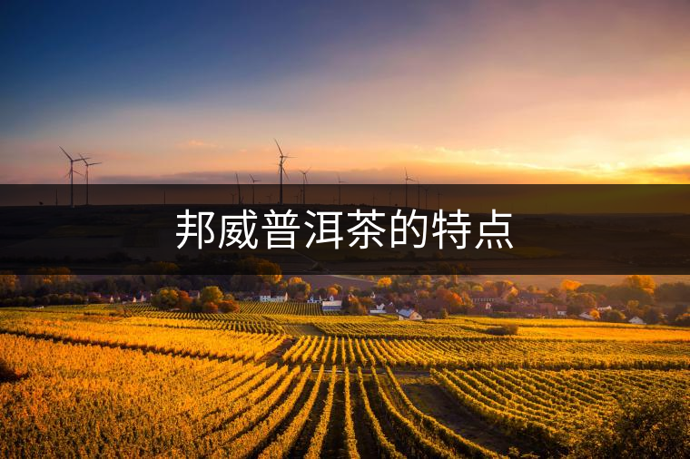 邦威普洱茶的特點(diǎn) 邦威普洱茶的特點(diǎn)