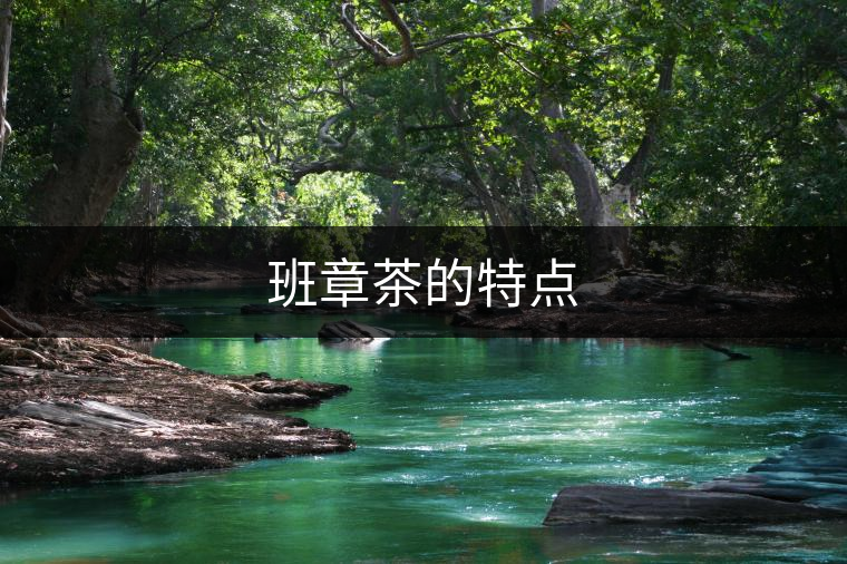 班章茶的特點(diǎn) 班章茶的特點(diǎn)