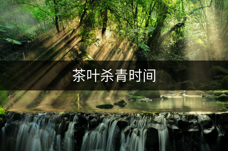 茶葉殺青時(shí)間