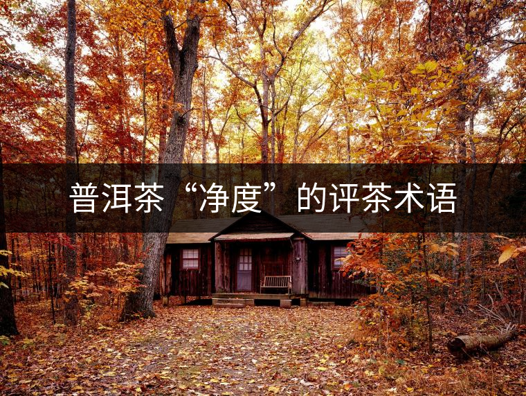 普洱茶“凈度”的評(píng)茶術(shù)語(yǔ) 普洱茶“凈度”的評(píng)茶術(shù)語(yǔ)