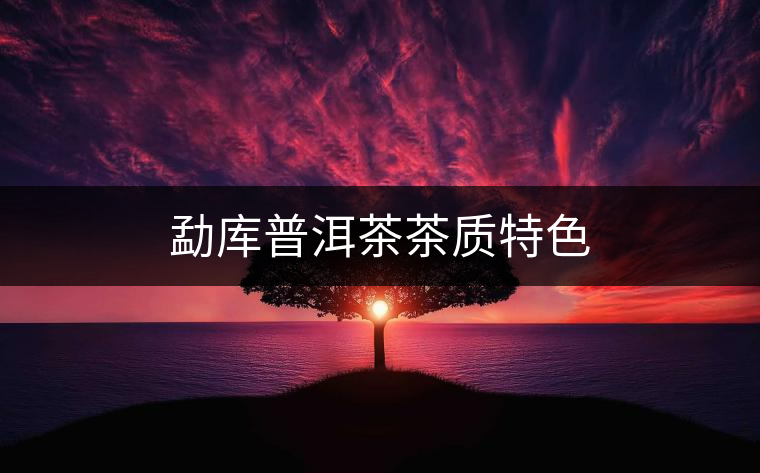 勐庫普洱茶茶質特色 勐庫普洱茶茶質特色