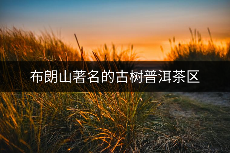 布朗山著名的古樹普洱茶區(qū) 布朗山著名的古樹普洱茶區(qū)