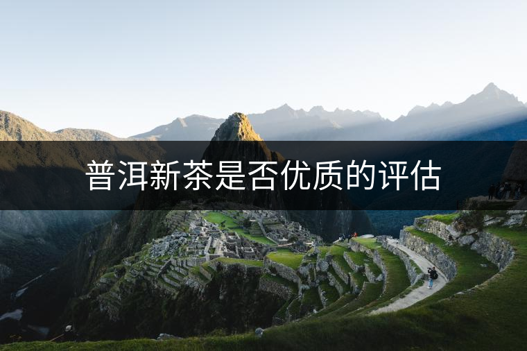 普洱新茶是否優(yōu)質(zhì)的評估