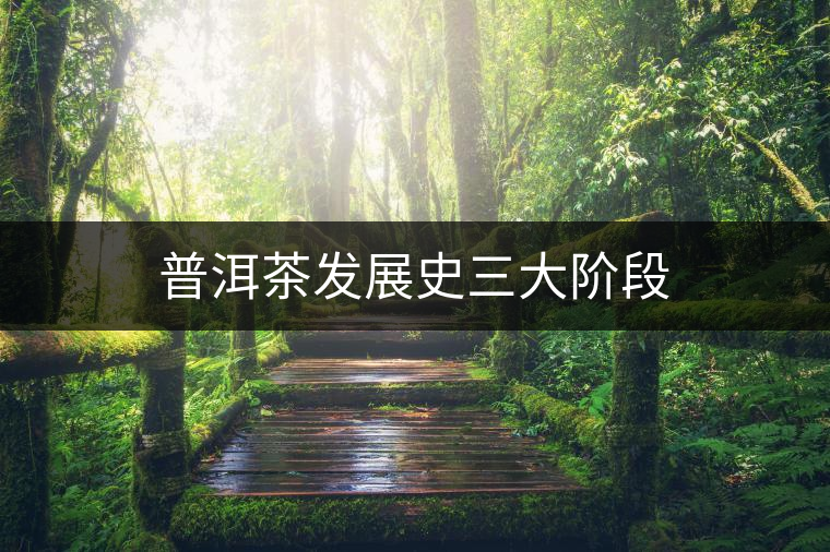 普洱茶發(fā)展史三大階段 普洱茶發(fā)展史三大階段