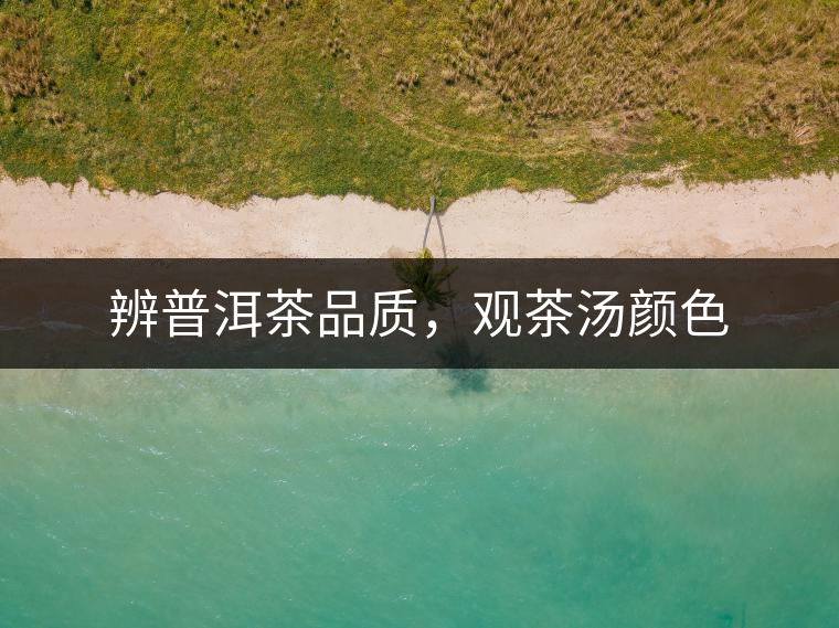 辨普洱茶品質(zhì)，觀茶湯顏色