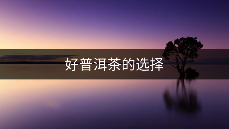 好普洱茶的選擇 好普洱茶的選擇