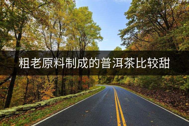 粗老原料制成的普洱茶比較甜 粗老原料制成的普洱茶比較甜