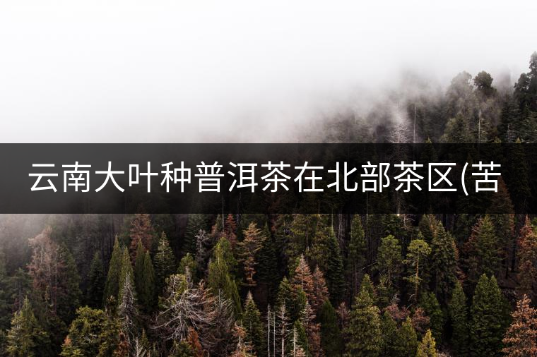 云南大葉種普洱茶在北部茶區(qū)(苦) 云南大葉種普洱茶在北部茶區(qū)(苦)