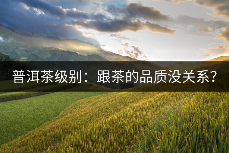 普洱茶級別：跟茶的品質沒關系？