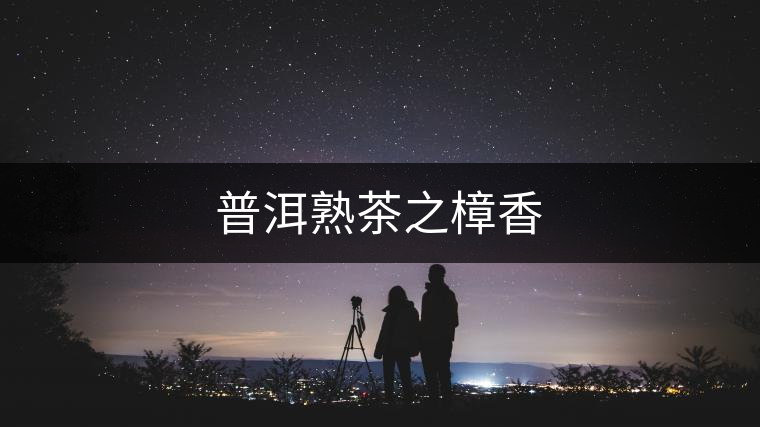 普洱熟茶之樟香 普洱熟茶之樟香