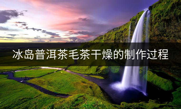 冰島普洱茶毛茶干燥的制作過程 冰島普洱茶毛茶干燥的制作過程