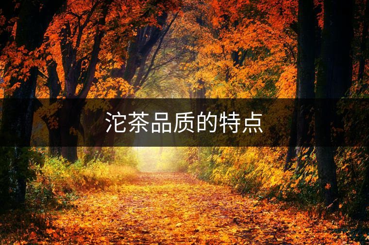 沱茶品質的特點