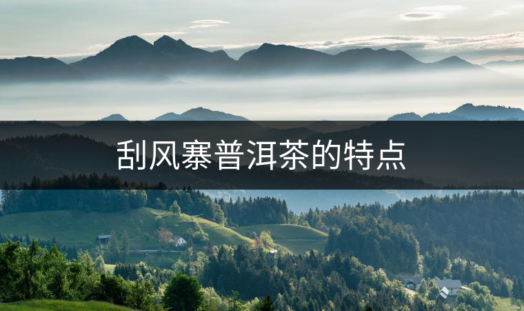 刮風(fēng)寨普洱茶的特點(diǎn) 刮風(fēng)寨普洱茶的特點(diǎn)