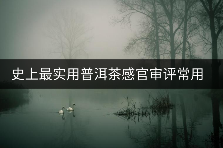 史上最實用普洱茶感官審評常用術語大全 史上最實用普洱茶感官審評常用術語大全