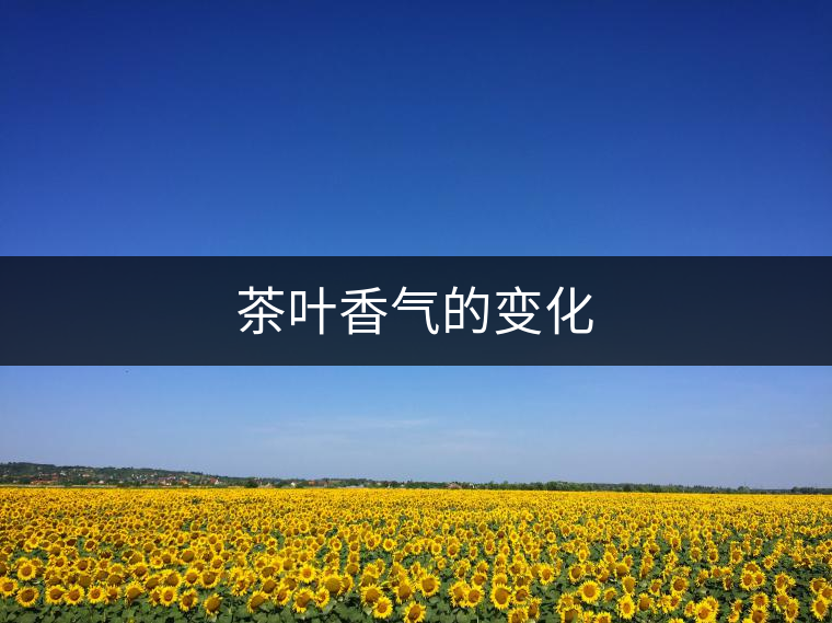 茶葉香氣的變化 茶葉香氣的變化