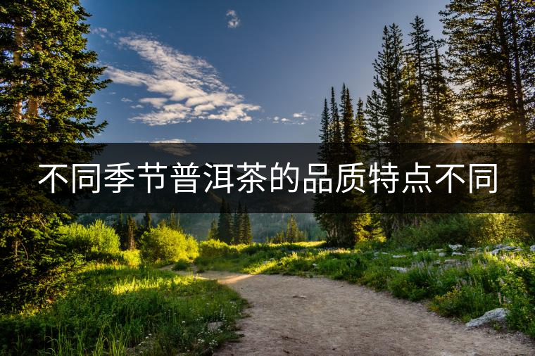 不同季節(jié)普洱茶的品質(zhì)特點(diǎn)不同