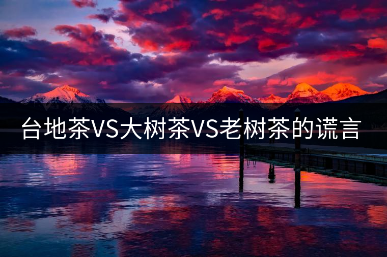 臺地茶VS大樹茶VS老樹茶的謊言你信幾個？