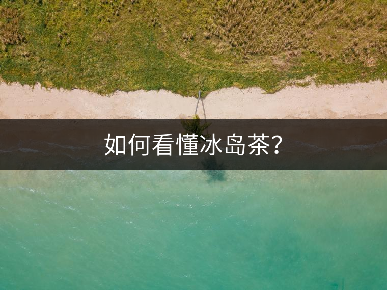 如何看懂冰島茶？
