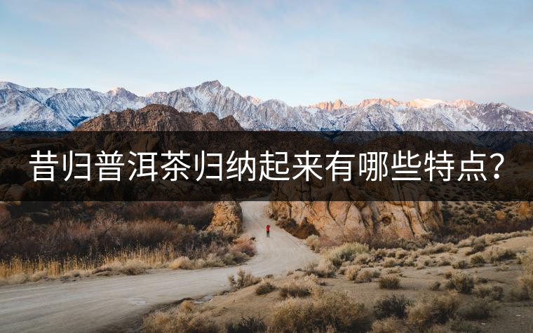 昔歸普洱茶歸納起來有哪些特點？