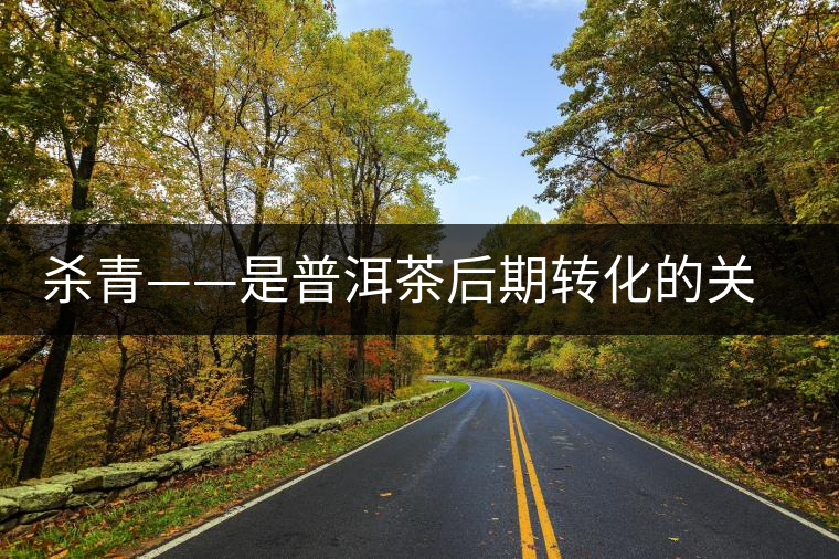 殺青——是普洱茶后期轉(zhuǎn)化的關鍵 殺青——是普洱茶后期轉(zhuǎn)化的關鍵