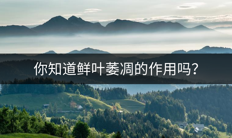 你知道鮮葉萎凋的作用嗎？