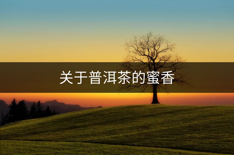 關于普洱茶的蜜香