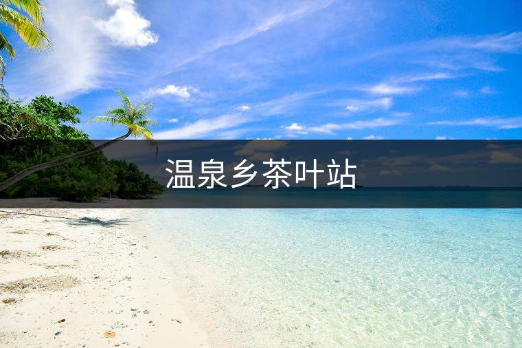 溫泉鄉(xiāng)茶葉站 溫泉鄉(xiāng)茶葉站