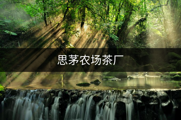 思茅農(nóng)場(chǎng)茶廠 思茅農(nóng)場(chǎng)茶廠