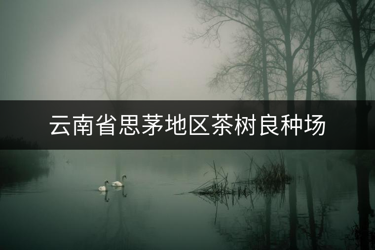 云南省思茅地區(qū)茶樹良種場(chǎng)