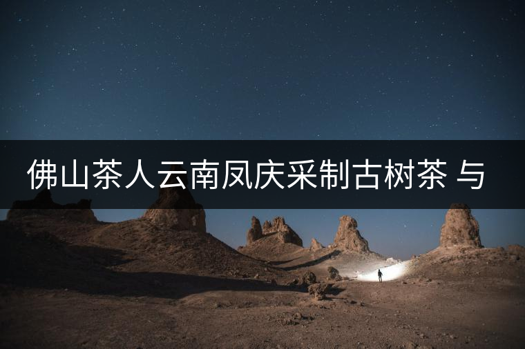 佛山茶人云南鳳慶采制古樹茶 與天地古人對(duì)話 佛山茶人云南鳳慶采制古樹茶 與天地古人對(duì)話