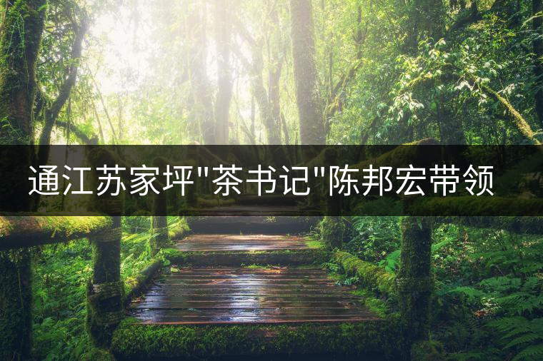 通江蘇家坪 通江蘇家坪