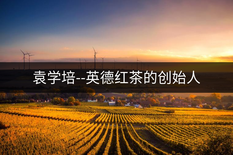 袁學(xué)培--英德紅茶的創(chuàng)始人