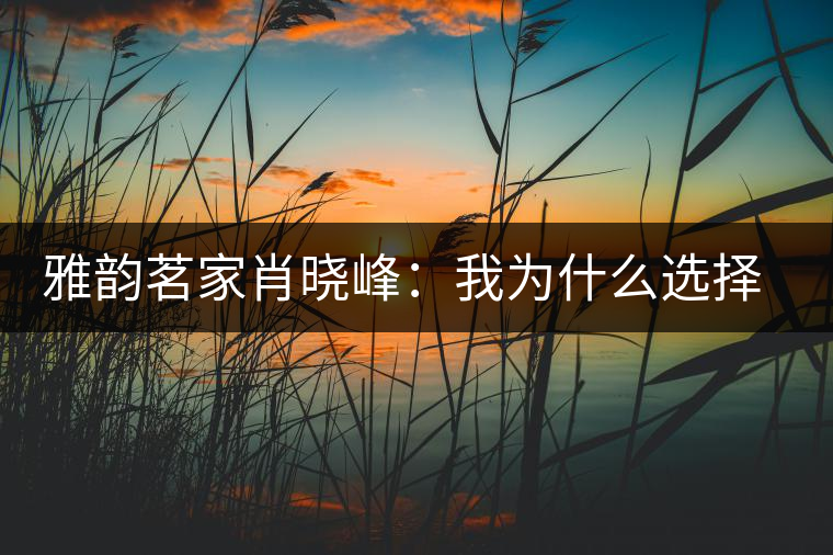 雅韻茗家肖曉峰:我為什么選擇古樹茶 雅韻茗家肖曉峰:我為什么選擇古樹茶