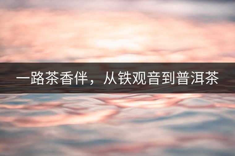 一路茶香伴，從鐵觀音到普洱茶