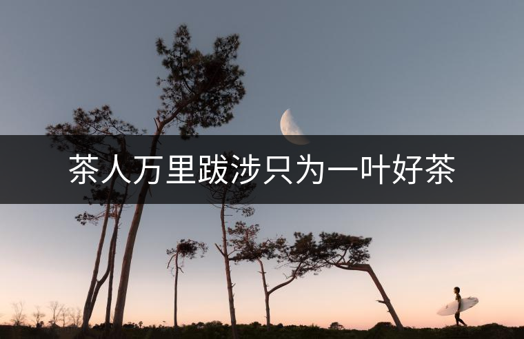 茶人萬里跋涉只為一葉好茶